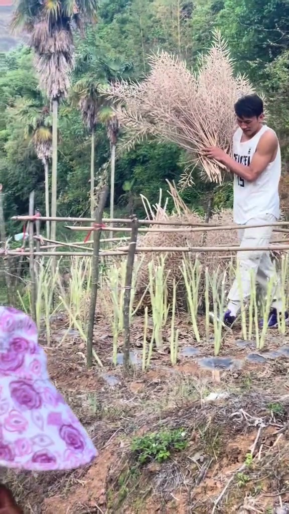 追梦赤子心 矣进宏田间挥汗诠释坚持的力量